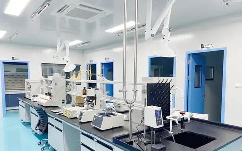 科技中介服務(wù) 創(chuàng)新生態(tài)中的橋梁與催化劑