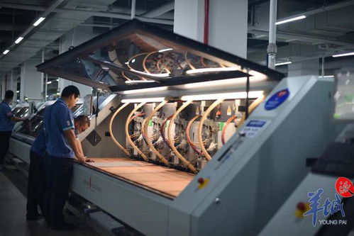 揭秘惠州這家企業(yè)如何連續(xù)6年營收增長30%以上 沿著高速看中國廣東科技中介服務(wù)